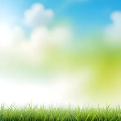 Green Grass With Blurred Blue Sky And White Clouds In The Background 17 A7fd