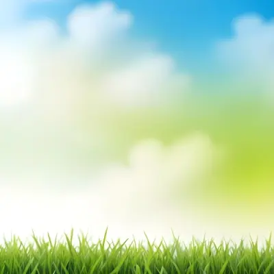 Green Grass With Blurred Blue Sky And White Clouds In The Background 22 4002