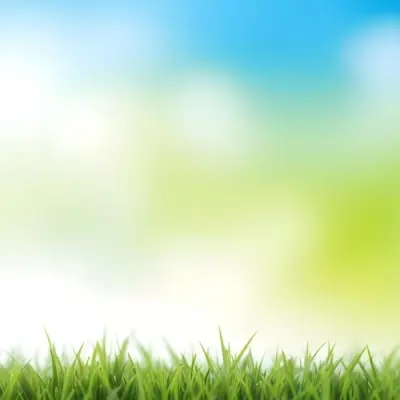 Green Grass With Blurred Blue Sky And White Clouds In The Background 24 Ecf7