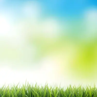 Green Grass With Blurred Blue Sky And White Clouds In The Background 3 16df