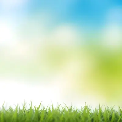 Green Grass With Blurred Blue Sky And White Clouds In The Background 5 C96b