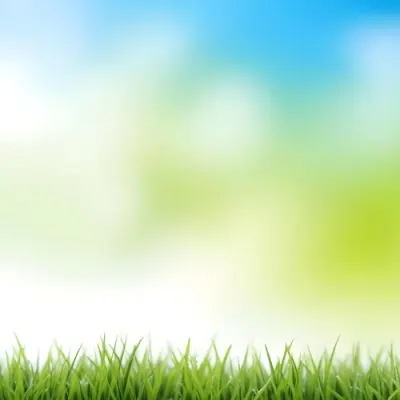 Green Grass With Blurred Blue Sky And White Clouds In The Background 7 3d5b