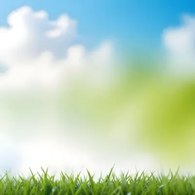 Green Grass With Blurred Blue Sky And White Clouds In The Background 9 42d7