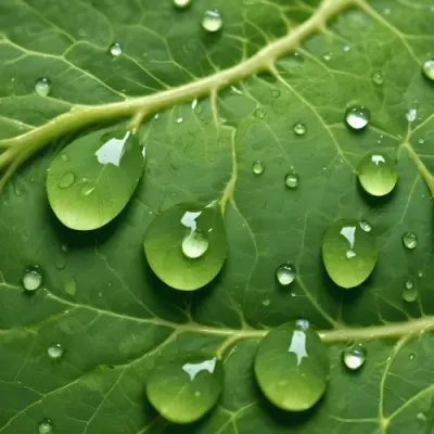 Green Leaf With Water Droplets Close Up View Of The Leaf S Surface Showing The Intricate Veins And Smooth Appearance 12 296f