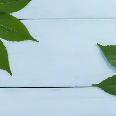 Green Leaves On A Light Blue Wooden Surface The Leaves Are Arranged In The Corners Of The Image The Background Is A Light Blue Color 1 797a