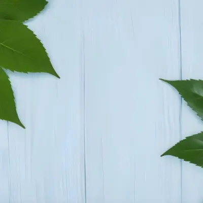 Green Leaves On A Light Blue Wooden Surface The Leaves Are Arranged In The Corners Of The Image The Background Is A Light Blue Color 10 Ee6d