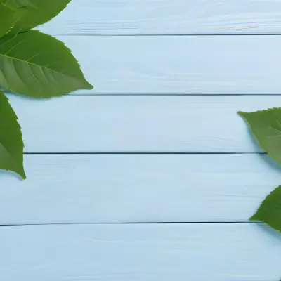 Green Leaves On A Light Blue Wooden Surface The Leaves Are Arranged In The Corners Of The Image The Background Is A Light Blue Color 2 B8af