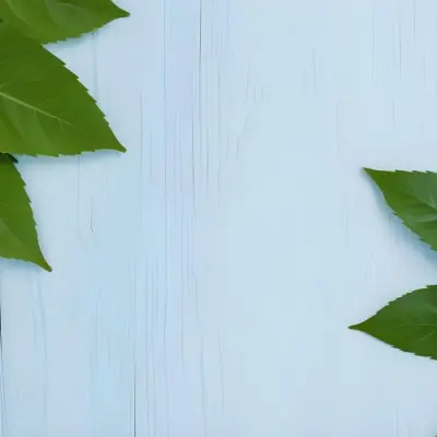 Green Leaves On A Light Blue Wooden Surface The Leaves Are Arranged In The Corners Of The Image The Background Is A Light Blue Color 29 36d1
