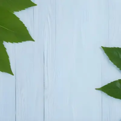 Green Leaves On A Light Blue Wooden Surface The Leaves Are Arranged In The Corners Of The Image The Background Is A Light Blue Color 3 D0aa