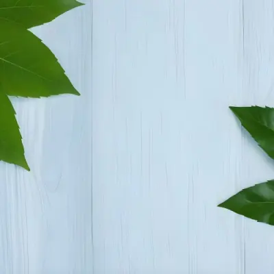 Green Leaves On A Light Blue Wooden Surface The Leaves Are Arranged In The Corners Of The Image The Background Is A Light Blue Color 33 B3a6