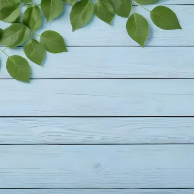 Green Leaves On A Light Blue Wooden Surface The Leaves Are Arranged In The Corners Of The Image The Background Is A Light Blue Color 4 E54a
