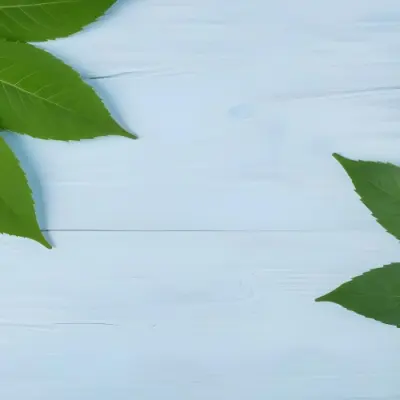 Green Leaves On A Light Blue Wooden Surface The Leaves Are Arranged In The Corners Of The Image The Background Is A Light Blue Color 8 9650