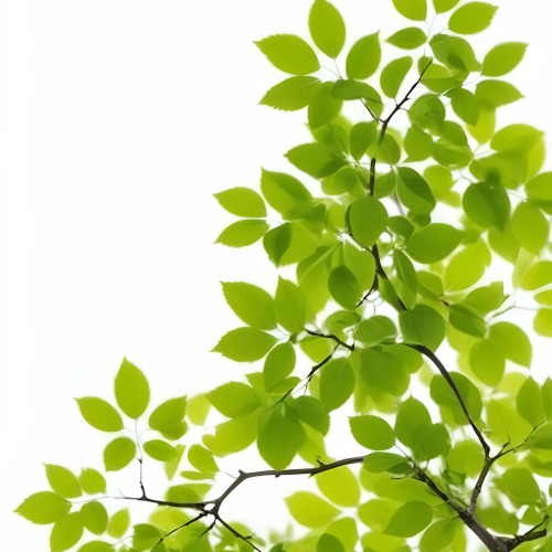 Green Leaves