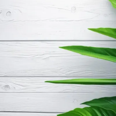 Green Leaves On A White Wooden Surface Creating A Natural And Fresh Background Ideal For Product Presentation Or Text Overlay 10 1189