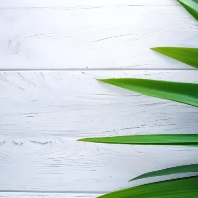 Green Leaves On A White Wooden Surface Creating A Natural And Fresh Background Ideal For Product Presentation Or Text Overlay 17 7a6f
