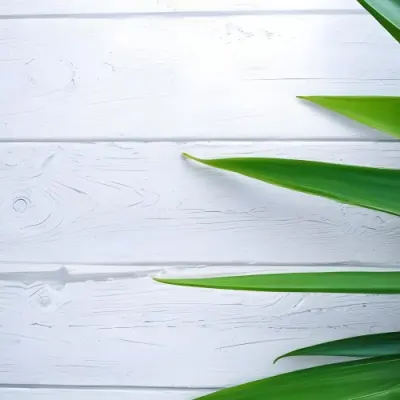 Green Leaves On A White Wooden Surface Creating A Natural And Fresh Background Ideal For Product Presentation Or Text Overlay 2 E3a3