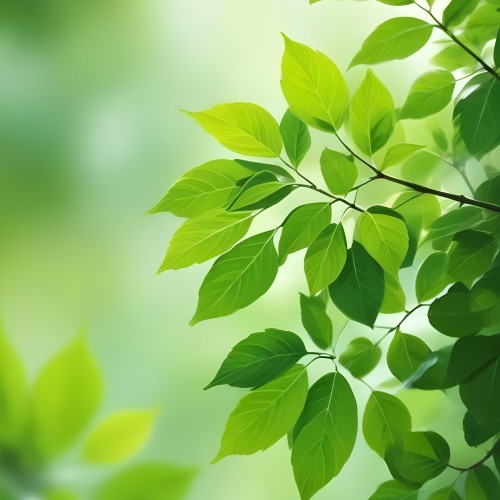 Green Leaves With A Blurred Background Bright And Vibrant Natural Lighting Bokeh Effect Nature Photography Close Up Shot Fresh And Natural Spring Or Summer Theme 1 D141