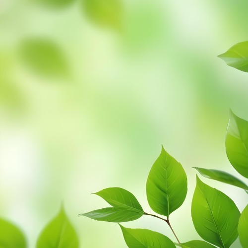 Green Leaves With A Blurred Background Bright And Vibrant Natural Lighting Bokeh Effect Nature Photography Close Up Shot Fresh And Natural Spring Or Summer Theme 10 6a5e