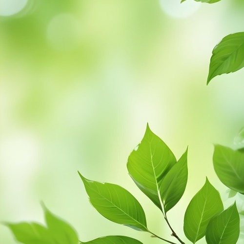 Green Leaves With A Blurred Background Bright And Vibrant Natural Lighting Bokeh Effect Nature Photography Close Up Shot Fresh And Natural Spring Or Summer Theme 13 A63b