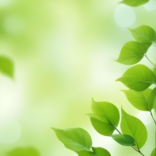 Green Leaves With A Blurred Background Bright And Vibrant Natural Lighting Bokeh Effect Nature Photography Close Up Shot Fresh And Natural Spring Or Summer Theme 14 E878