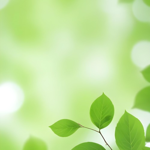 Green Leaves With A Blurred Background Bright And Vibrant Natural Lighting Bokeh Effect Nature Photography Close Up Shot Fresh And Natural Spring Or Summer Theme 16 F872