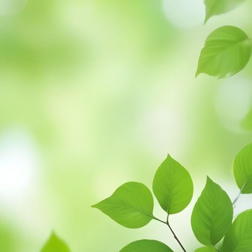 Green Leaves With A Blurred Background Bright And Vibrant Natural Lighting Bokeh Effect Nature Photography Close Up Shot Fresh And Natural Spring Or Summer Theme 19 88b6