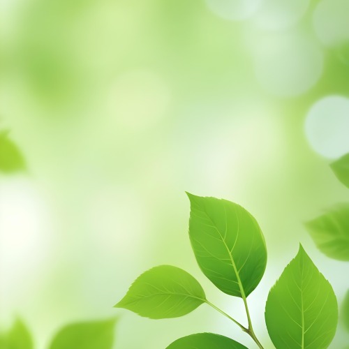 Green Leaves With A Blurred Background Bright And Vibrant Natural Lighting Bokeh Effect Nature Photography Close Up Shot Fresh And Natural Spring Or Summer Theme 20 Fcf7