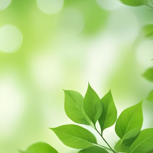 Green Leaves With A Blurred Background Bright And Vibrant Natural Lighting Bokeh Effect Nature Photography Close Up Shot Fresh And Natural Spring Or Summer Theme 21 2837