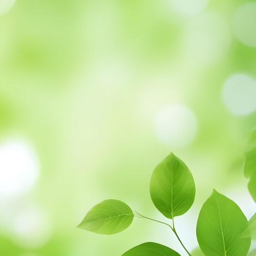 Green Leaves With A Blurred Background Bright And Vibrant Natural Lighting Bokeh Effect Nature Photography Close Up Shot Fresh And Natural Spring Or Summer Theme 25 Ed5f