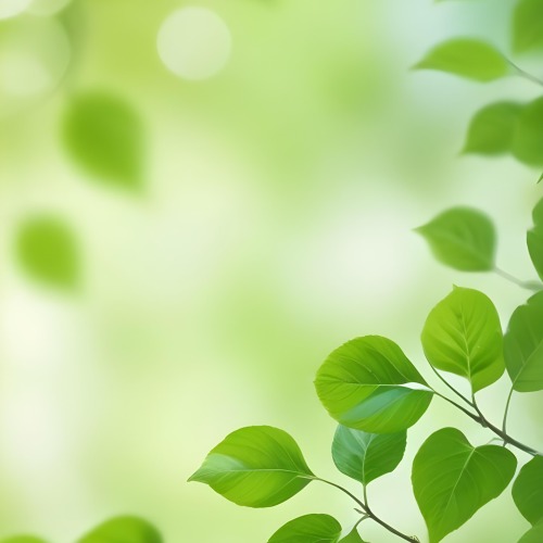 Green Leaves With A Blurred Background Bright And Vibrant Natural Lighting Bokeh Effect Nature Photography Close Up Shot Fresh And Natural Spring Or Summer Theme 26 Fb09