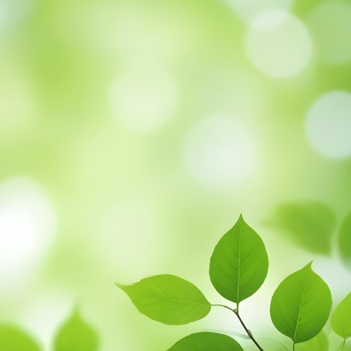 Green Leaves With A Blurred Background Bright And Vibrant Natural Lighting Bokeh Effect Nature Photography Close Up Shot Fresh And Natural Spring Or Summer Theme 27 1e97