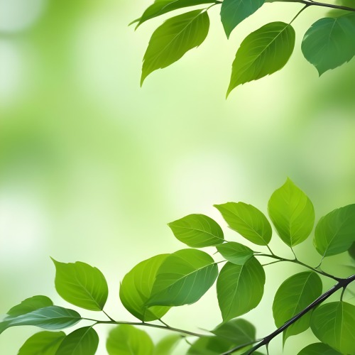 Green Leaves With A Blurred Background Bright And Vibrant Natural Lighting Bokeh Effect Nature Photography Close Up Shot Fresh And Natural Spring Or Summer Theme 3 048a
