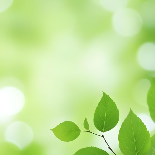 Green Leaves With A Blurred Background Bright And Vibrant Natural Lighting Bokeh Effect Nature Photography Close Up Shot Fresh And Natural Spring Or Summer Theme 32 8893