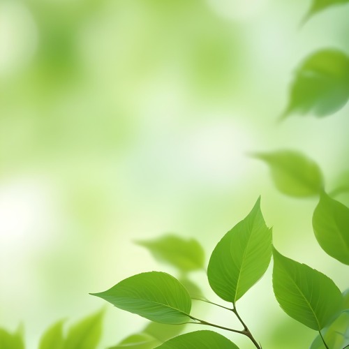 Green Leaves With A Blurred Background Bright And Vibrant Natural Lighting Bokeh Effect Nature Photography Close Up Shot Fresh And Natural Spring Or Summer Theme 33 51b4
