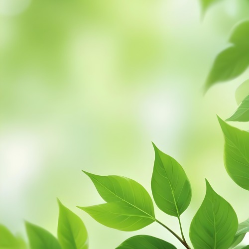 Green Leaves With A Blurred Background Bright And Vibrant Natural Lighting Bokeh Effect Nature Photography Close Up Shot Fresh And Natural Spring Or Summer Theme 4 E6b2