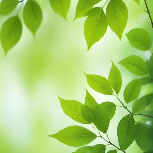Green Leaves With A Blurred Background Bright And Vibrant Natural Lighting Bokeh Effect Nature Photography Close Up Shot Fresh And Natural Spring Or Summer Theme 5 2f13