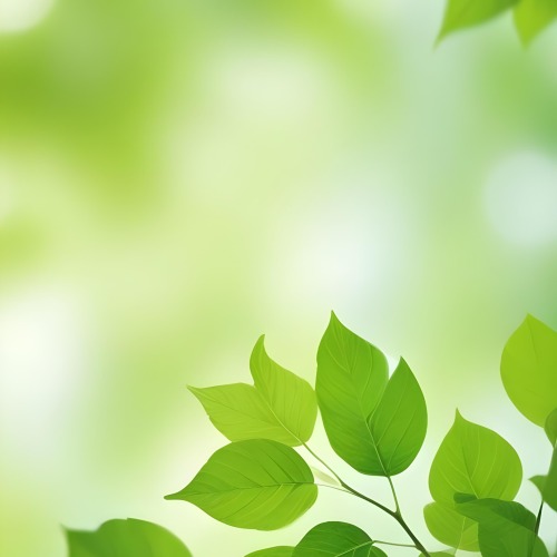 Green Leaves With A Blurred Background Bright And Vibrant Natural Lighting Bokeh Effect Nature Photography Close Up Shot Fresh And Natural Spring Or Summer Theme 6 C755