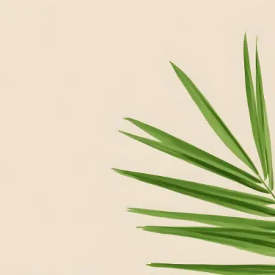 Green Palm Leaf
