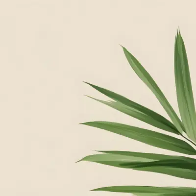 Green Palm Leaf On A Beige Background Minimalist Style Bright And Clean Simple Composition Natural Light Tropical Vibe Fresh And Vibrant Botanical Theme 22 80ca