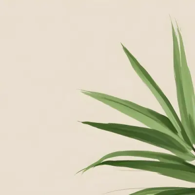 Green Palm Leaf On A Beige Background Minimalist Style Bright And Clean Simple Composition Natural Light Tropical Vibe Fresh And Vibrant Botanical Theme 23 5b15