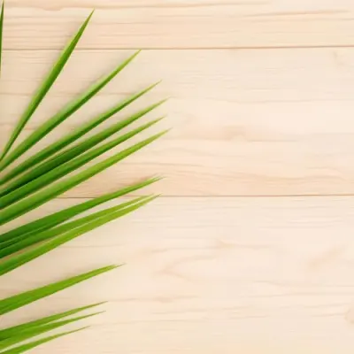 Green Palm Leaf On A Light Brown Wooden Background Tropical Vibrant Natural Fresh Minimalist Clean Bright Summer Botanical Organic Simple 43 6b86