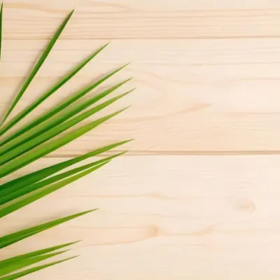 Green Palm Leaf On A Light Brown Wooden Background Tropical Vibrant Natural Fresh Minimalist Clean Bright Summer Botanical Organic Simple 57 3797