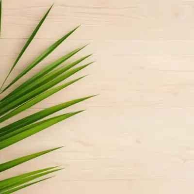 Green Palm Leaf On A Light Brown Wooden Background Tropical Vibrant Natural Fresh Minimalist Clean Bright Summer Botanical Organic Simple 63 A401