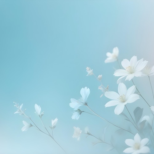 Minimal Soft Studio Light Photography Abstract Background With Light Blue And White Floral Patterns Soft Pastel Colors And A Dreamy Ethereal Quality Creating A Gentle And Calming Visual Effect High Detail Solid 114 4350