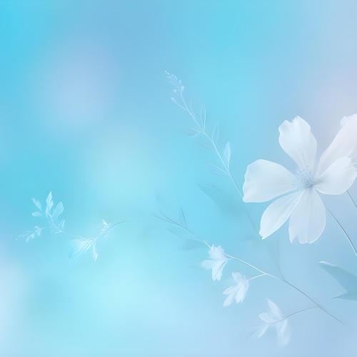 Minimal Soft Studio Light Photography Abstract