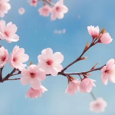 Minimal Soft Studio Light Photography Cherry Blossom Flowers With Pink Petals On A Blue Sky Background Some Petals Falling Down Soft And Dreamy Atmosphere Watercolor Style High Detail Solid Bold Color Background 1 4 738e