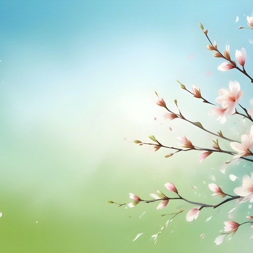 Minimal Soft Studio Light Photography Cherry Blossom Petals Falling With A Gradient Background Of Blue White And Green Soft And Dreamy Pastel Colors Spring Season Delicate And Airy High Detail Solid Bold Color 9 24be