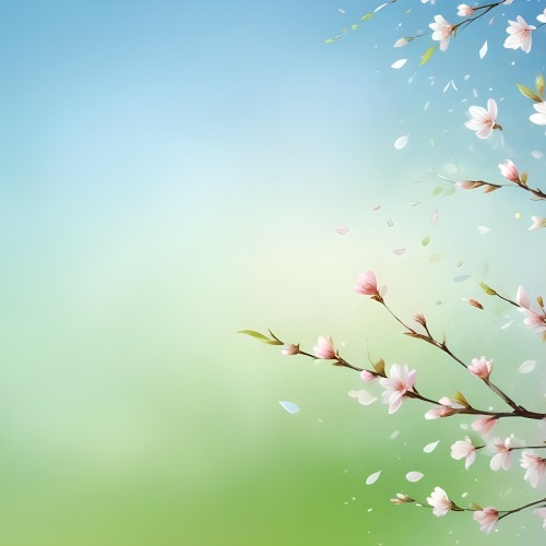 Minimal Soft Studio Light Photography Cherry Blossom Petals Falling With A Gradient Background Of Blue White And Green Soft And Dreamy Pastel Colors Spring Season Delicate And Airy High Detail Solid Bold Color 98 C2dc