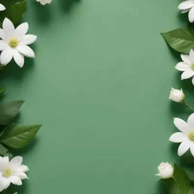 Minimal Soft Studio Light Photography Green Background With Leaves And White Flowers On The Top Corners Nature Elements Minimalist Style Soft Light Fresh And Vibrant Colors High Detail Solid Bold Color Backgroun 6 1a6a