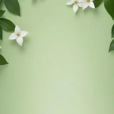 Minimal Soft Studio Light Photography Green Background With Leaves And White Flowers On The Top Corners Nature Elements Minimalist Style Soft Light Fresh And Vibrant Colors High Detail Solid Bold Color Backgroun 8 D6d6